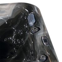 Spa de luxe en acrylique pour l'extérieur, 60 jets de massage, Bluetooth et éclairage LED, désinfection à l'ozone, jacuzzi pour villa, hôtel, complexe hôtelier