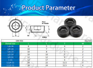 Tornillos de Bloqueo de Buena Calidad <span class=keywords><strong>DIN</strong></span> <span class=keywords><strong>906</strong></span>, Tornillo de Cabeza Hexagonal para Plástico, Tapones de Tornillo de Cabeza Hexagonal de 1/8-28 con Collar, Tapón Enrasado - Product Image 6