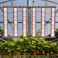 Lampe de culture LED à faible déclenchement de lumière, durée de vie de 30 000 heures, avec moins de 3 % d'atténuation, pour usage commercial en agriculture intérieure