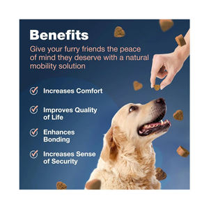 מפעל הירך & תוספת משותפת תומך בריאות משותפת שומרת על שימון משותף - Product Image 5