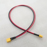 Prise Amass XT30 XT60 XT90 personnalisée Assemblage de câble d'extension de charge de batterie Lipo RC Connecteur en silicone Faisceau de câblage d'alimentation