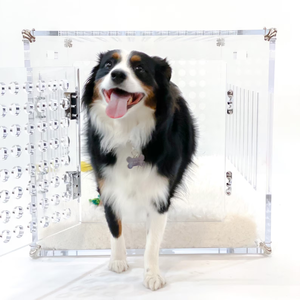 Kişiselleştirilebilir Şeffaf Akrilik Köpek Kafesi, Küçük ve Orta Boy Köpekler için Kapılı Havalandırmalı Şık Evcil Hayvan Kulübesi - Product Image 2
