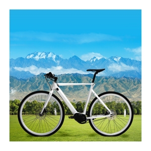 Vélo de route personnalisable haut de gamme 2024, moteur central 250W, batterie lithium, super léger, vélo de ville Longsword - Product Image 2