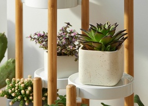 Soporte personalizado blanco de 4 niveles para plantas de acacia de bambú, respetuoso con el medio ambiente, uso doméstico, estante de exhibición de esquina, soporte de almacenamiento para plantas - Product Image 5