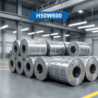 H50W600 Gulungan Baja Silikon Canai Dingin 0.5mm |   Kehilangan Zat Besi 4.10 |   Induksi Magnetik 1.68T |   Berlapis Tidak Terorientasi Elektrik