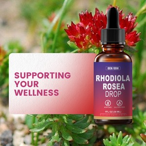 <span class=keywords><strong>Rhodiola</strong></span>-extract (<span class=keywords><strong>Rhodiola</strong></span> <span class=keywords><strong>Rosea</strong></span>) Stressverlichting, stemmingverbetering en concentratieverbetering. <span class=keywords><strong>Rhodiola</strong></span>-wortelextract druppels vloeibaar. - Product Image 2