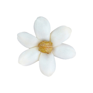 Flor de jazmín pequeña de madera de Sola de 1.6 pulgadas, flor hecha a mano personalizada con alambre fino para decoración del hogar y festivales - Product Image 1