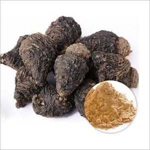 Poudre de racine de Maca noire de qualité supérieure, qualité alimentaire, séchée naturellement, finement moulue, superaliment botanique pour les smoothies et les boissons aux herbes - Product Image 1
