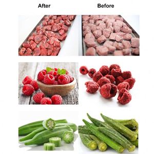 <span class=keywords><strong>Liofilizador</strong></span> Pequeño de Alta Productividad <span class=keywords><strong>Harvest</strong></span> <span class=keywords><strong>Right</strong></span> con Certificado CE - Product Image 4