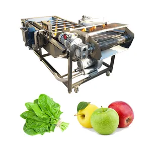 Coconut Squash Lettuce Air Bubble Washing Machine Shrimp Washer Apple Prickly Pear Plum Seafood Jalopone Pepper Cleaning Machine