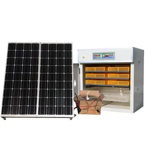 Dual Power Supply 528 chicken egg incubator with solar system