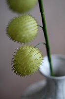 Ranting Buah Buatan Berbentuk Bola Berbulu Tangkai Panjang, Batang Milkweed, Tanaman Hias Berduri, Dekorasi Bunga Indoor