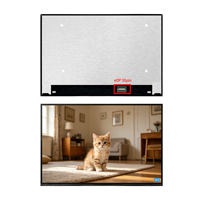 Nouvel écran LCD pour ordinateur portable BOE 16 pouces B160UAN01.L TN TFT WUXGA 1920x1200 30pin EDP Mat RGB 99% SRGB 400cd/m Rétroéclairage OLED 90 jours
