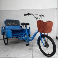 Triciclo de Carga de 3 Ruedas con Estructura de Acero para Adultos, Asiento Cómodo, Seguro, Carrocería Abierta, Rickshaw, Triciclo de Pasajeros, Exportación, 20 Pulgadas, 100 kg