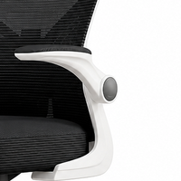 Chaise de bureau ergonomique en maille ALINUNU, fabrication directe OEM ODM, avec accoudoirs rabattables en PP et soutien lombaire réglable