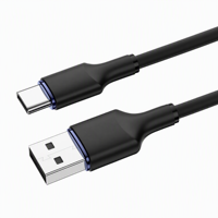 Câble USB-C 100W Super Rapide 5A en TPE, Longueur 2M, pour iOS et Ordinateur, Design Audacieux