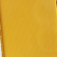10 pièces de cadres et fondations de ruche jaunes, cadres/fondations d'abeilles tout-en-un pour boîte de ruche profonde Langstroth