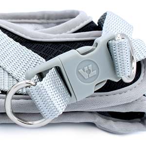 สายจูงสุนัขที่มีชีวิตชีวาสีดำสไตล์ห่อขนาดเล็กพิเศษ - Product Image 4