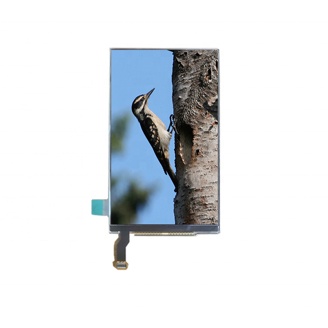 3.95-Inch 360*640 AMOLED Display 4-Inch Full Color OLED Screen Modules with 20Pin MIPI DSI Interface LCD Modules