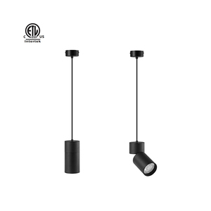 Thạc sĩ Mặt dây chuyền loạt gấp rộng phạm vi quyền lực LED COB ánh sáng LED Spotlight vòng đen trắng bề mặt downlight Led xi lanh đèn - Product Image 4