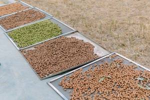 Incienso de Cono de Agarwood Puro Hecho con Polvo de Agarwood 100% Natural, Sin Químicos, Aroma Duradero, Meditación, Yoga, Aromático - Product Image 6