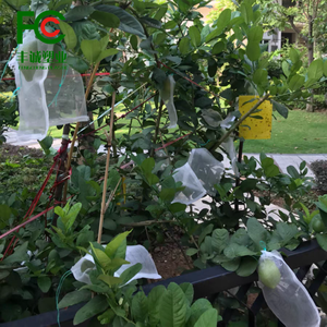 손바닥을위한 곤충 그물 가방이있는 과일 가방 보호 및 정원 그물 가방으로 작물을 보호하십시오 - Product Image 1