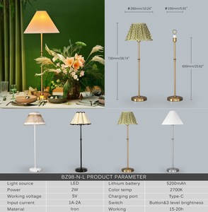60CM Tall Iron LED <strong>Cordless</strong> Fabric Table <strong>Lamp</strong> Touch Remote Rechargeable Lampshade <strong>Floor</strong> <strong>Lamp</strong> E14 Wedding Events Decorations - Product Image 6