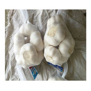 Prix d'usine <span class=keywords><strong>Ail</strong></span> frais chinois <span class=keywords><strong>Éléphant</strong></span> <span class=keywords><strong>Ail</strong></span> blanc pur - Product Image 1