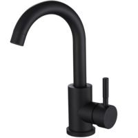 Robinet de cuisine classique avec robinet extractible en acier inoxydable 304 série mitigeur de cuisine/lavabo/douche poli/noir