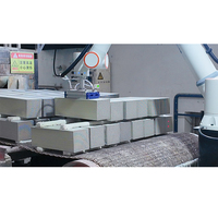 DREAMON Bras Robotique Automatique Portable 6 Axes Robot Collaboratif Déplaceur de Palettes Cobot Palettiseur Acier Aluminium 6 Pièces/min