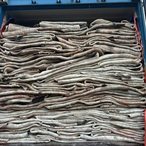 Peaux de vache et de buffle salées humides à vendre - Meilleur prix pour peaux pleines décapées à la machine pour les usines de tannerie mondiales - Product Image 3