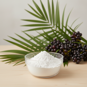 Оптовая цена на натуральный экстракт плодов пальмы сабаль (<span class=keywords><strong>Saw</strong></span> <span class=keywords><strong>Palmetto</strong></span>) в порошке, 45% жирных кислот - Product Image 1