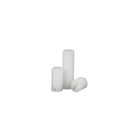 M5 M6 M8 M10 Noir Blanc Nylon Plastique PA66 Fente Plate Coine Cup Dog Ball Point Set Vis DIN551 DIN553 DIN438 DIN926