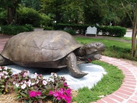 Sculpture de tortue en bronze moderne sur mesure MALTON, procédé de moulage à la cire perdue numérique, finition polie - Objet de collection artistique