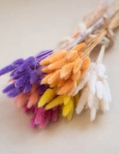 Flores secas de <span class=keywords><strong>HY</strong></span>-D9Material, ramos de hierba de cola de conejo, bolsa Opp, flores decorativas de Navidad y coronas de larga duración, 60 uds./<span class=keywords><strong>Bu</strong></span> - Product Image 4