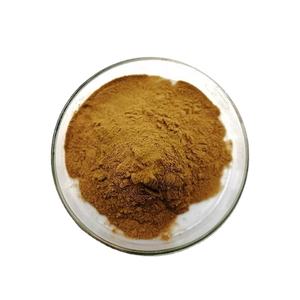 Cápsulas de extracto de hongo Reishi rojo Polisacáridos Extracto de Ganoderma Lucidum Extracto de hongo Reishi rojo - Product Image 4