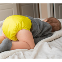 Ananbaby Wasserdichte, verstellbare Stoffwindeln mit neuem Design-Print, wiederverwendbar, waschbar, umweltfreundlich, personalisierbar, hochwertig für Babys