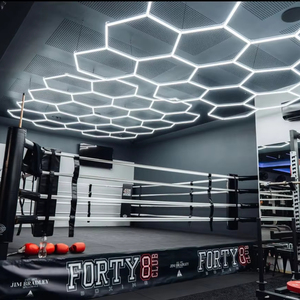 SUEZ Alta Qualidade 6500k Car Beauty Hexagonal Led Light Atacado carro detalhando luz para oficina de carro - Product Image 1