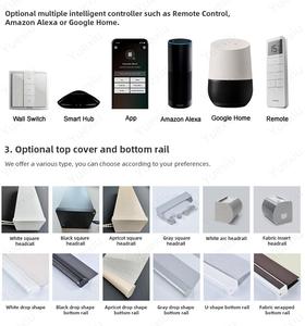 Tùy Chỉnh Google Nhà Ứng Dụng Điều Khiển Từ Xa 38Mm Úc Phong Cách Màn Rèm Động Cơ Điện Con Lăn Ngựa Vằn Mù - Product Image 6