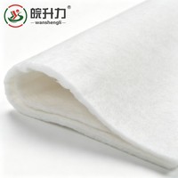 Géotextile non tissé en filament de polyester WSL pour la séparation et le drainage des chaussées routières, filament pour routes