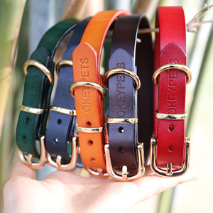 Fashion Luxury Leather Cat Dog Pet Collars For Pets,High Quality Designer Tactical Training Collar And Leash Set