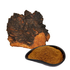 hochwertiges <span class=keywords><strong>Chaga</strong></span>-Pilzpulver aus <span class=keywords><strong>Chaga</strong></span>-Pilzen-Extrakt - Product Image 5