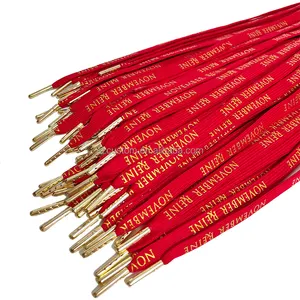 Custom 100% Polyester flat drawstring cords strap Colored Round Red rope gold text metal tips hoodie draw cord