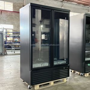 Congelador de pantalla Vertical comercial de dos puertas Byron Construcción de vidrio refrigerado por aire Equipo de refrigeración de control digital de 1200L - Product Image 1