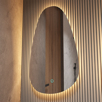 Miroir LED mural sans cadre de forme irrégulière, deux couleurs d'éclairage, pour salle de bain