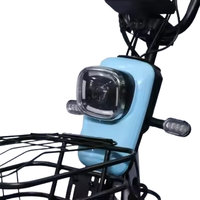 Vélo électrique à cadre en acier 3 vitesses, moteur roue arrière, assistance au pédalage, batterie au plomb, idéal pour les loisirs – Prix direct usine, promotion exceptionnelle