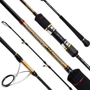 Canne à pêche en eau salée <span class=keywords><strong>Hearty</strong></span> <span class=keywords><strong>Rise</strong></span> Slow Jigging III R Tokayo en carbone avec poignée EVA, puissance moyenne, pour spinning et casting, livraison gratuite - Product Image 1