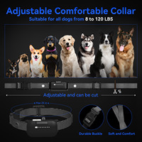 Bestseller New 2000FT Vibration Tone Shock IP67 Wasserdichtes Hunde training Anti-Rinden halsband IP67 Wasserdicht