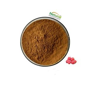 Ücretsiz Numune Tedariki Yüksek Kaliteli Saf Ahududu Özü Ücretsiz Numune ve Uygun Fiyatlı Saf Ahududu Özü - Product Image 1