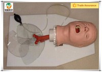 Modelo de Entrenamiento Avanzado para Intubación Endotraqueal en Adultos BIX-J50 |   Simulador Realista Avanzado de Manejo de Vías Respiratorias de PVC de Tamaño Natural